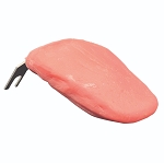 Simulated Tongue with Bracket